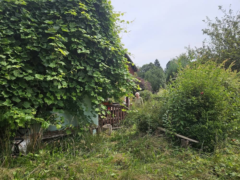 Ogródek działkowy sprzedam