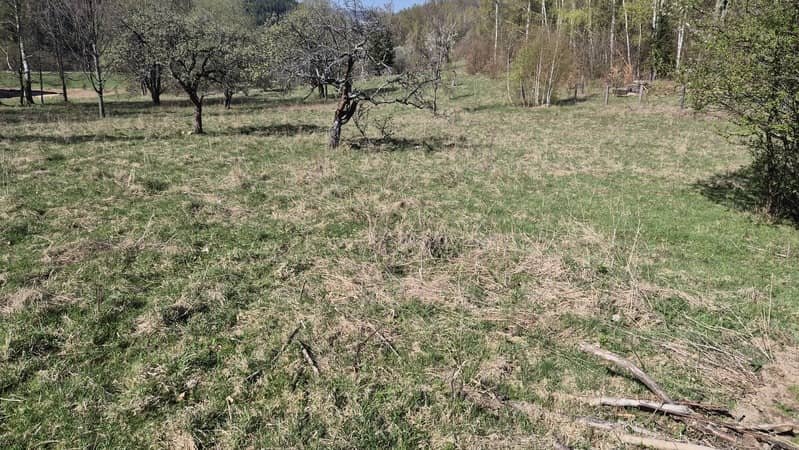 Przesieka. Sprzedam działkę 1,1 ha