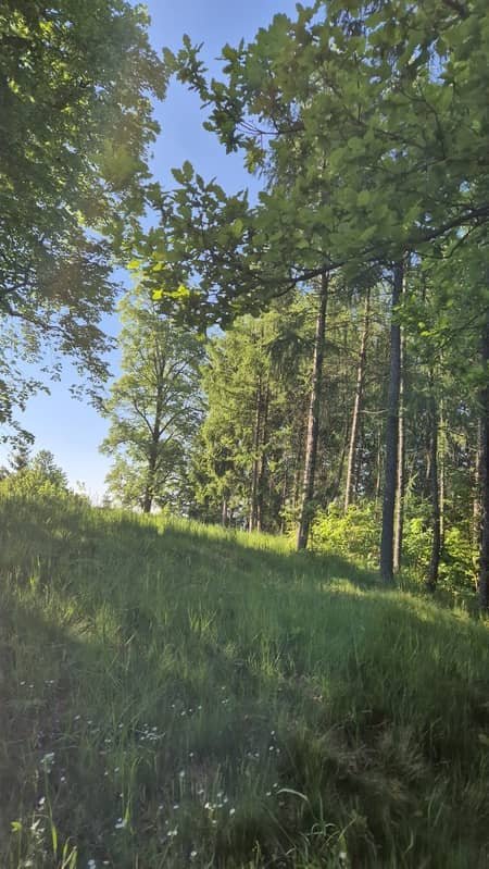 Janowice Wlk. Działka z małym domem do rem.