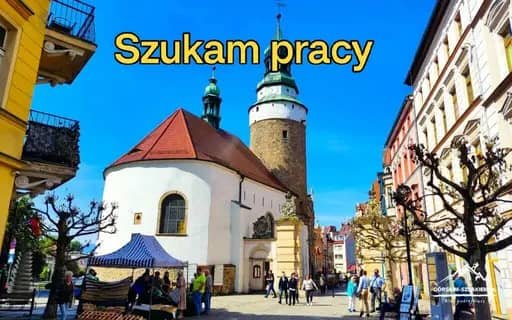Podejmę pracę w Jeleniej Górze