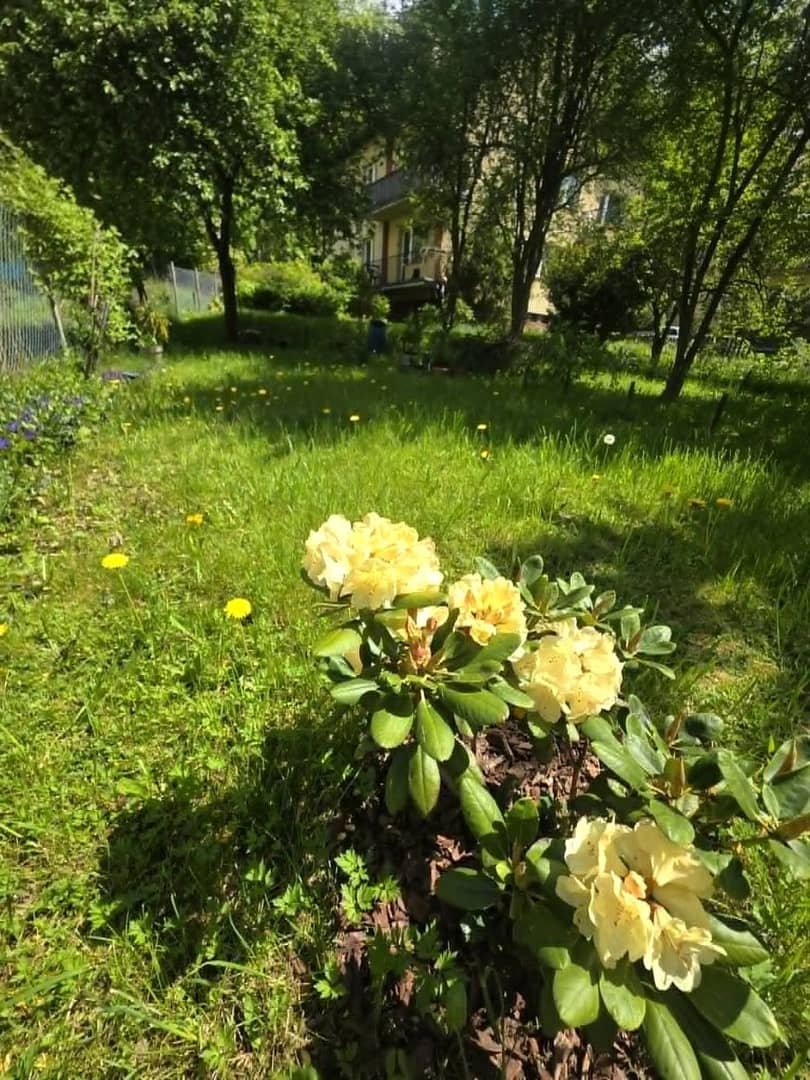 Umeblowane 2 pokoje z balkonem i ogródkiem