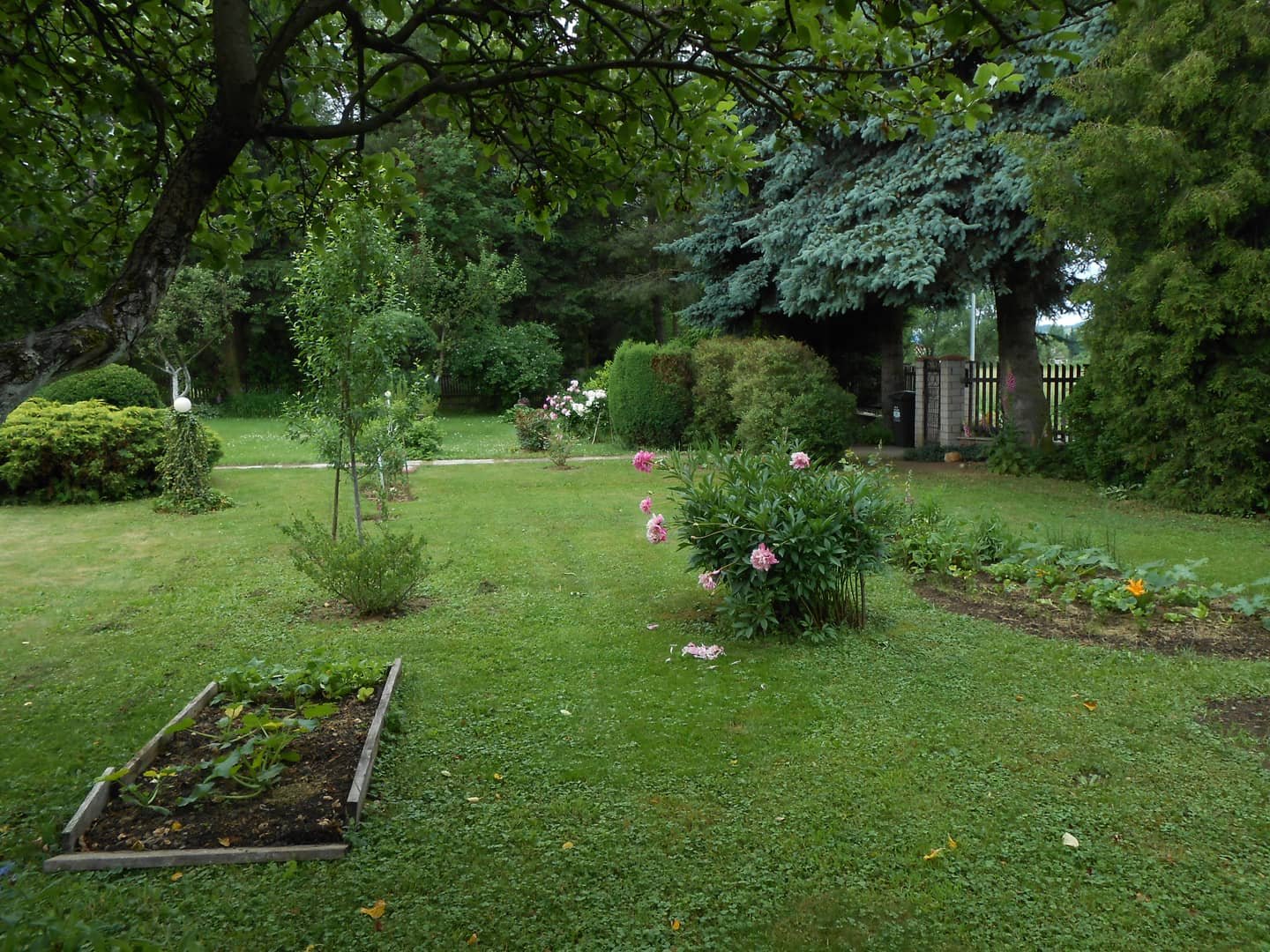 Dom w Kamiennej Górze/garaż/działka, 640 tys. zł