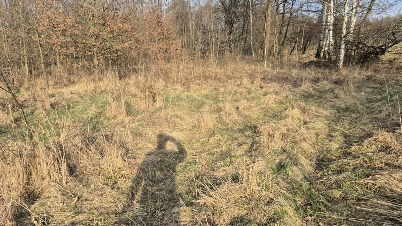 Wojcieszów, działka rolna 9200m2, 30.000,-