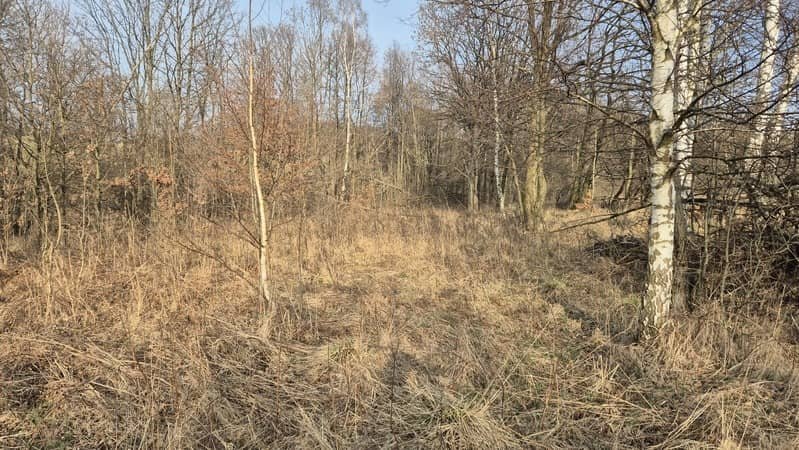 Wojcieszów, działka rolna 9200m2, 30.000,-