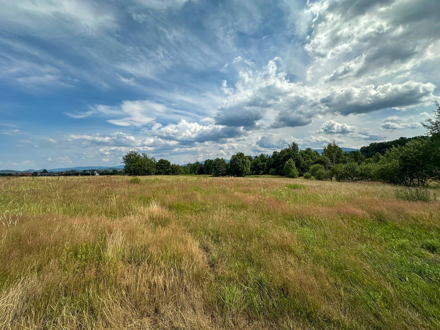 Działka budowlana 1002m² Wojcieszyce widok