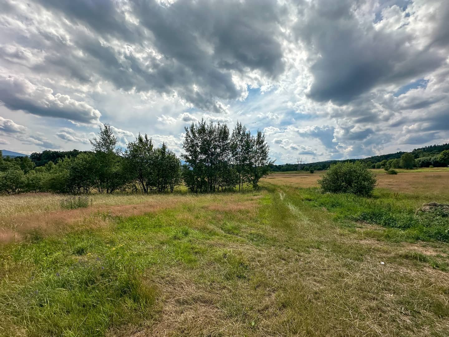 Działka budowlana 1002m² Wojcieszyce widok