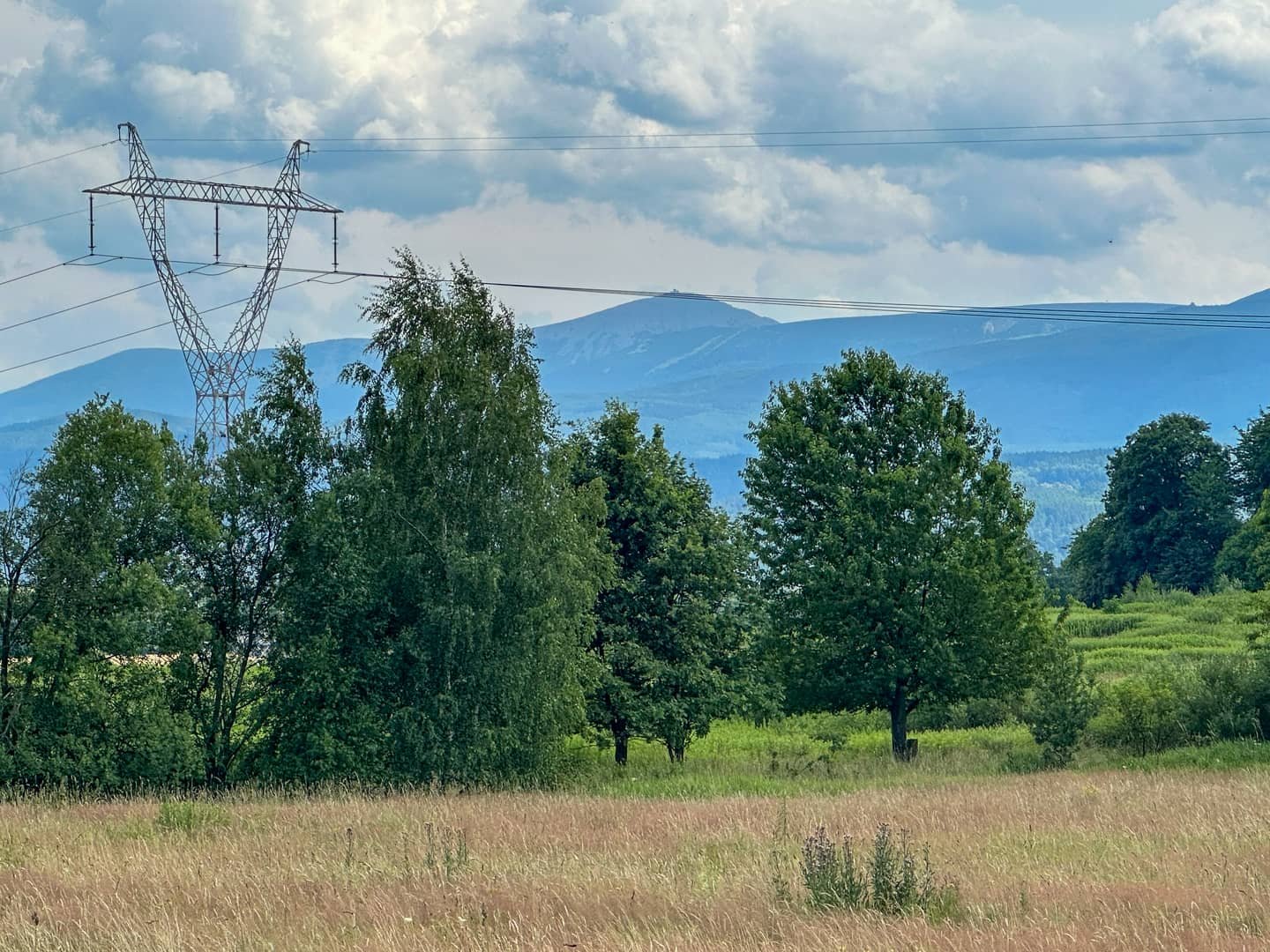 Działka budowlana 1002m² Wojcieszyce widok