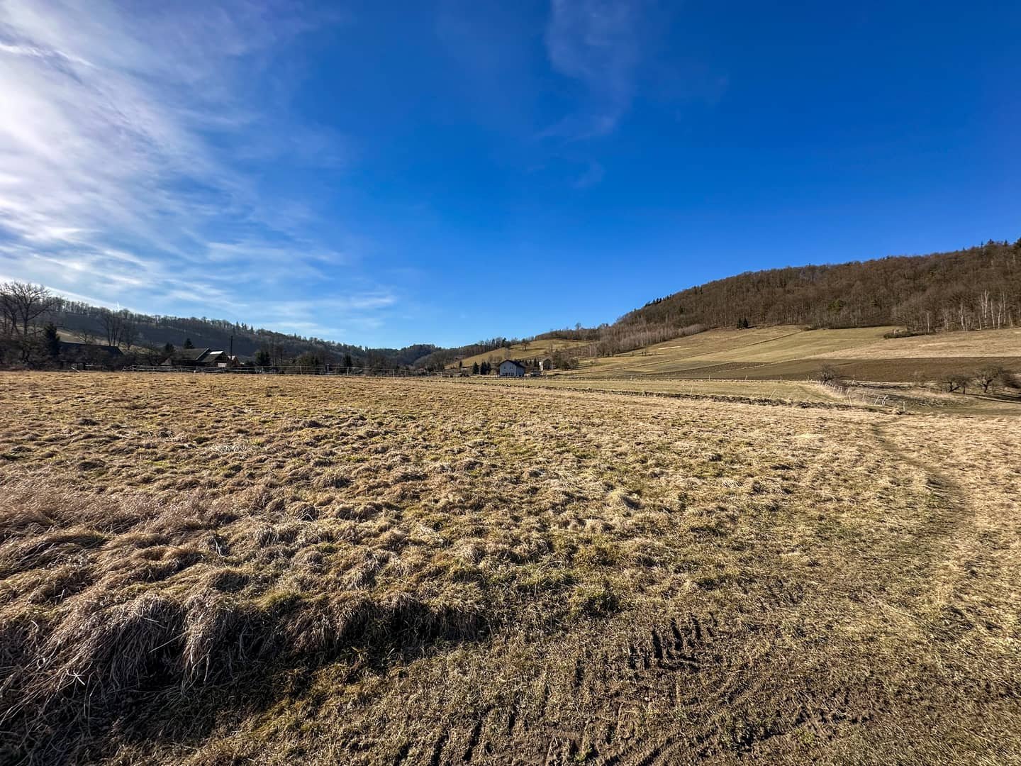 Działki budowlana i rolna 5500m² Pilchowice