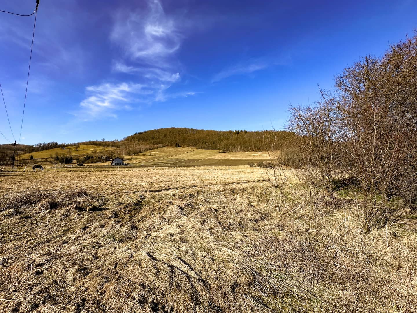 Działki budowlana i rolna 5500m² Pilchowice
