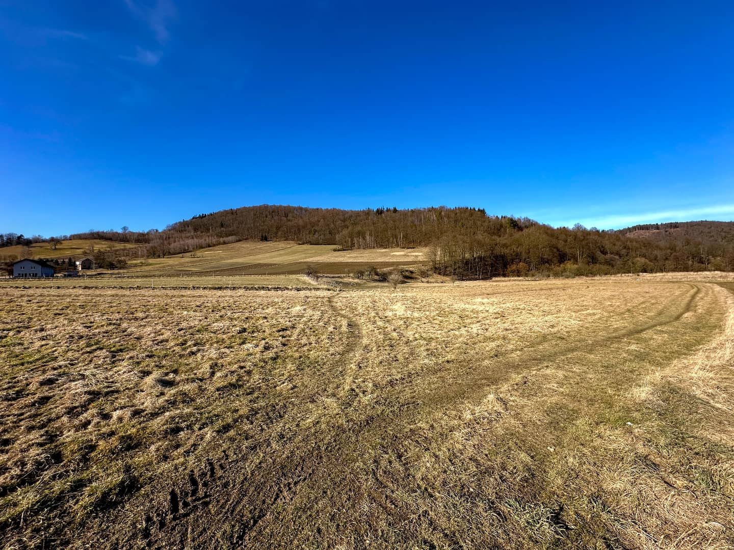 Działki budowlana i rolna 5500m² Pilchowice