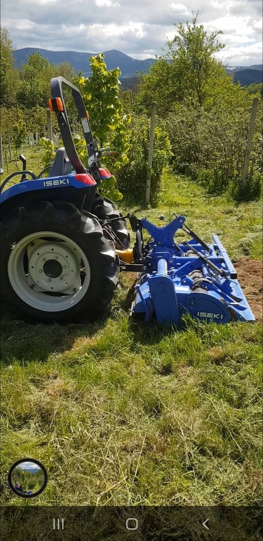 Usługi ogrodnicze. Zadbamy o twój ogród