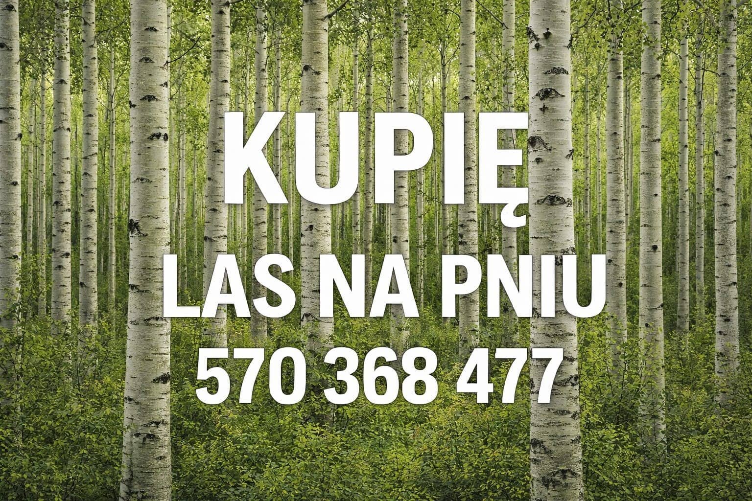 Kupię las na pniu, porośnięte pola