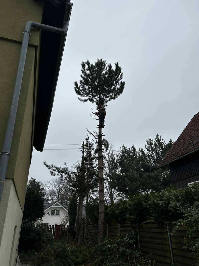 Ogrodnik złota rączka