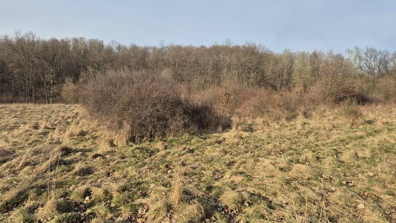 Wojcieszów, działka rolna 9200m2, 30.000,-