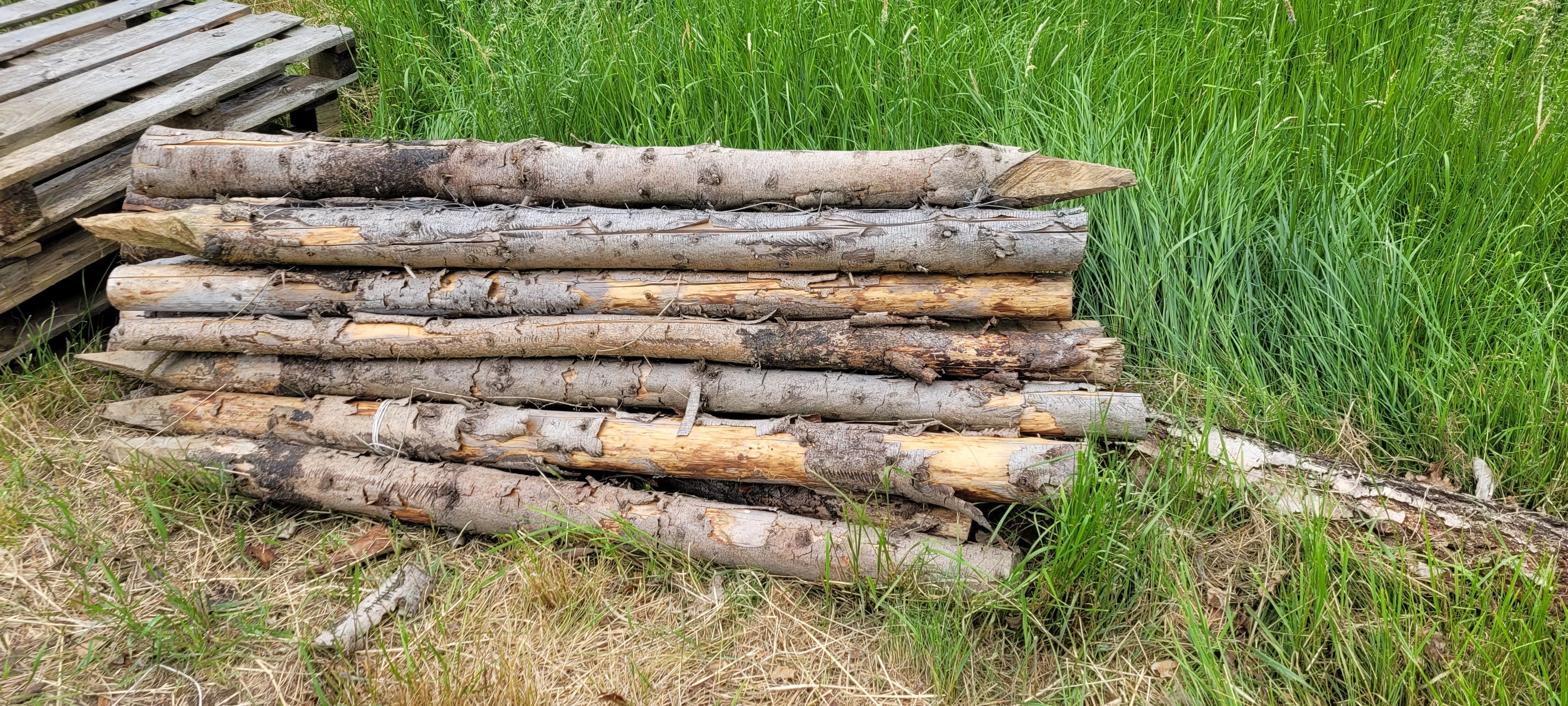 Słupki sosnowe do siatki leśnej 180 cm – 30 szt., średnica 6–9 cm – 10 zł/szt.
