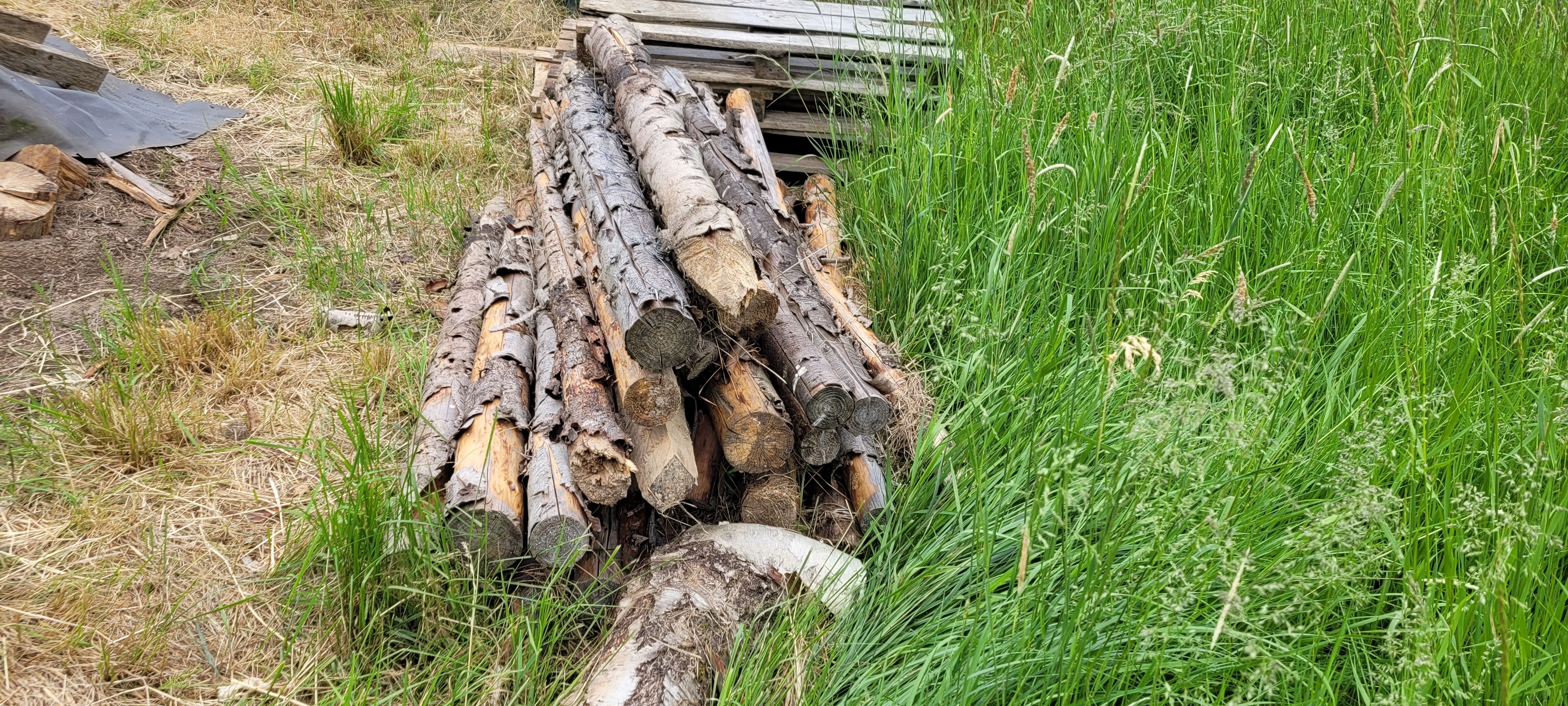 Słupki sosnowe do siatki leśnej 180 cm – 30 szt., średnica 6–9 cm – 10 zł/szt.
