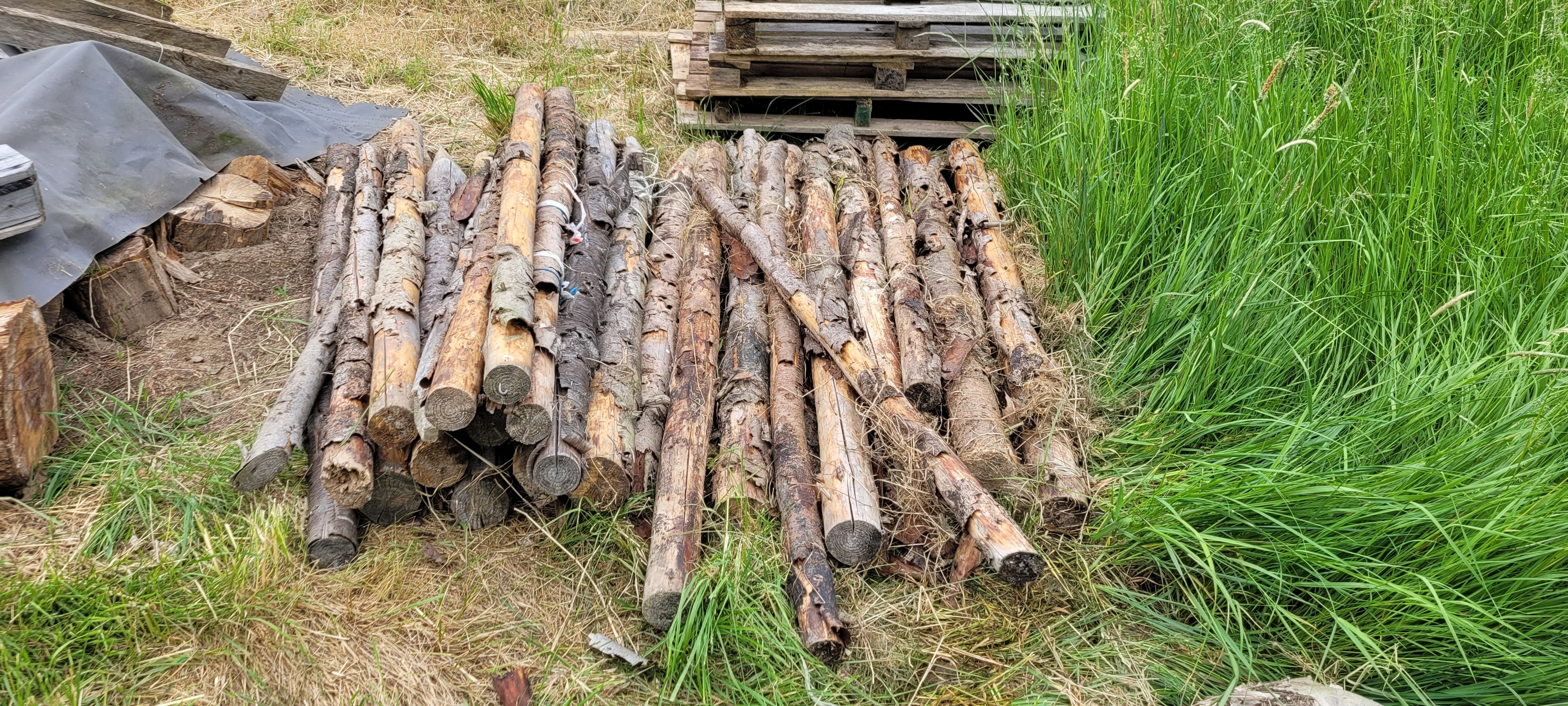 Słupki sosnowe do siatki leśnej 180 cm – 30 szt., średnica 6–9 cm – 10 zł/szt.