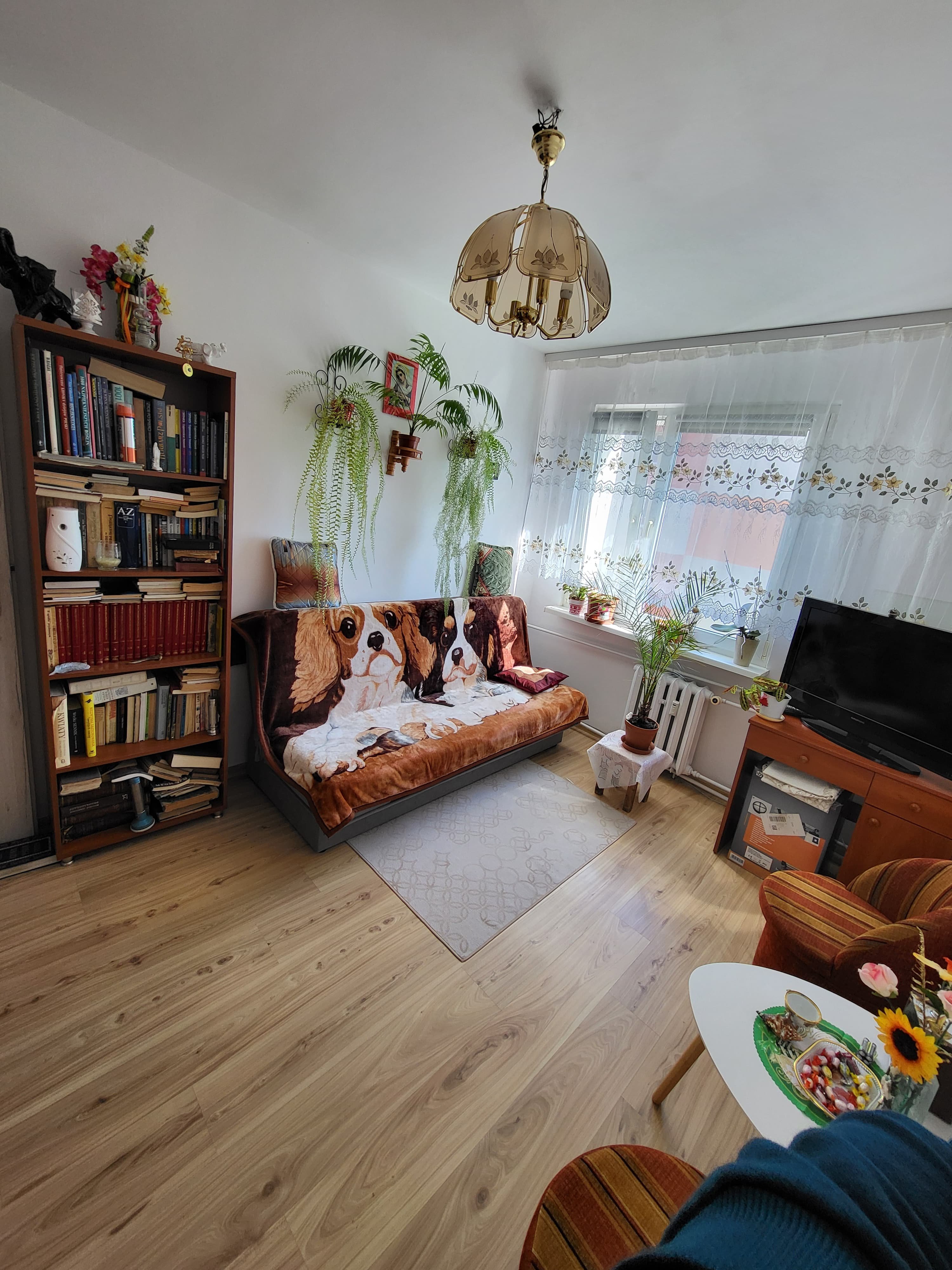 3 pokoje. 1 piętro. Balkon. Gałczyńskiego