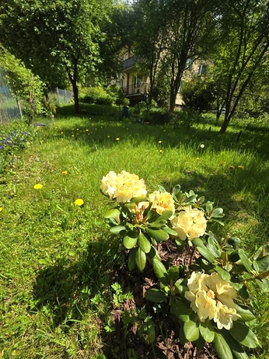 Umeblowane i gotowe do wprowadzenia 2 pokojowe mieszkanie z balkonem i ogródkiem.