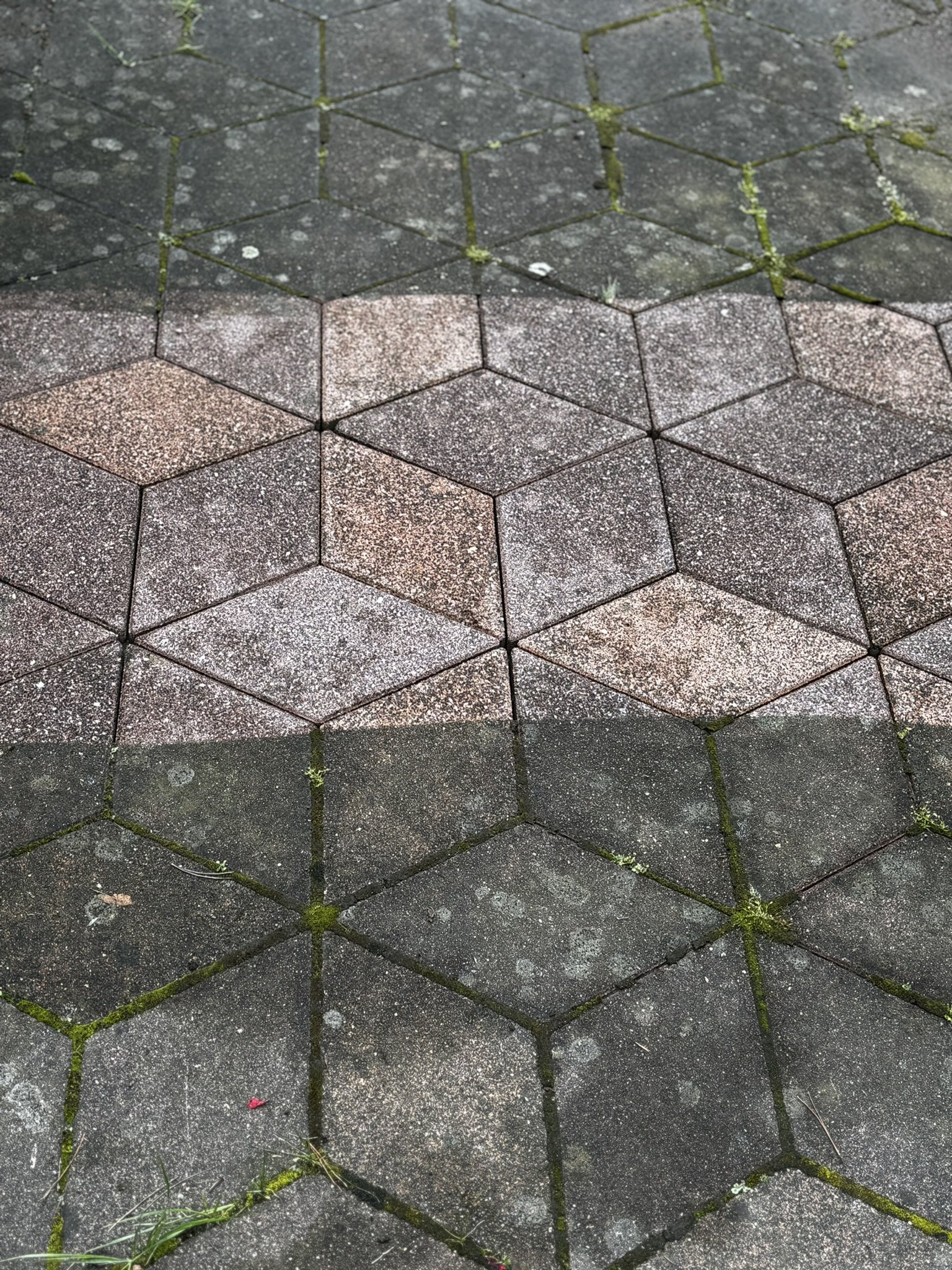 Pomocnik przy myciu ciśnieniowym domów - dorywczo 1 do 3 dni/tyg. Simply Pro Jelenia Góra