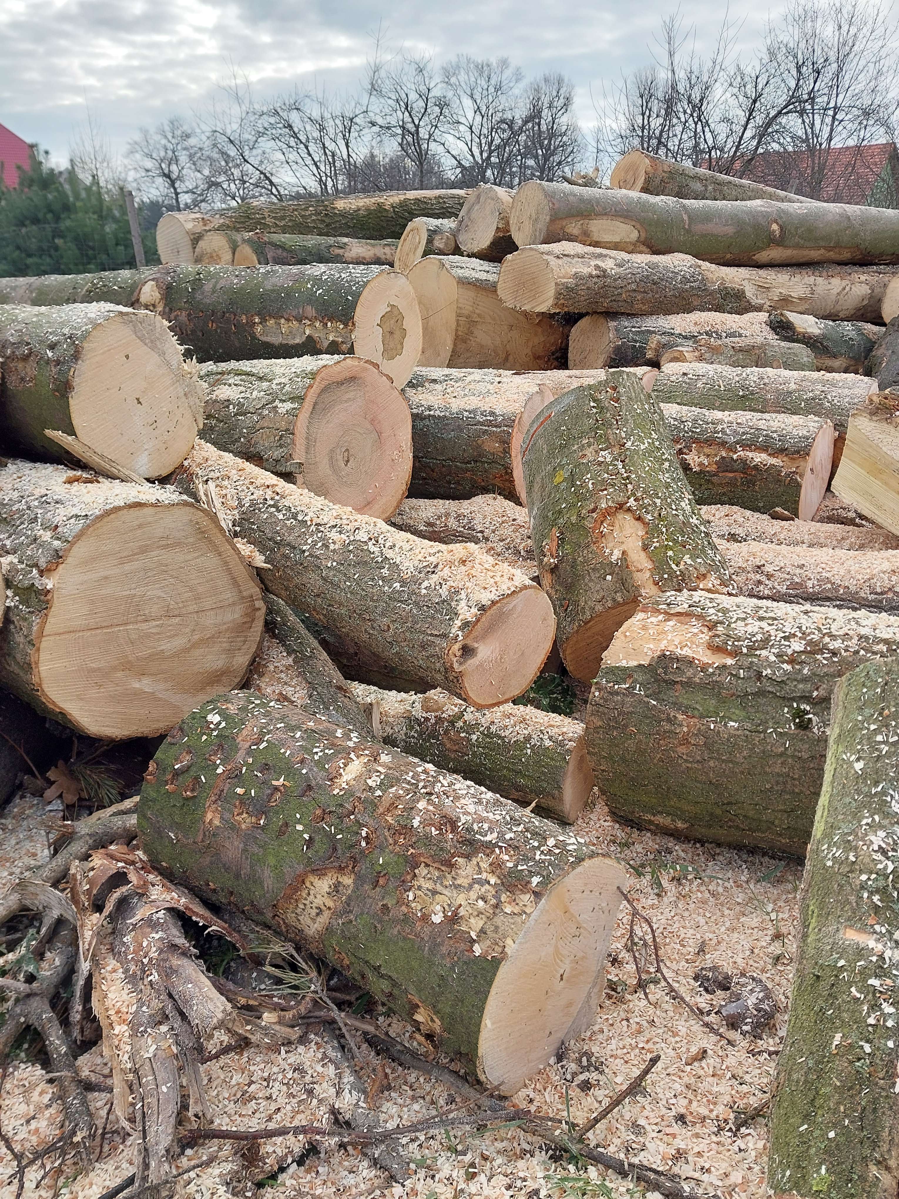 Drewno kominkowe dąb