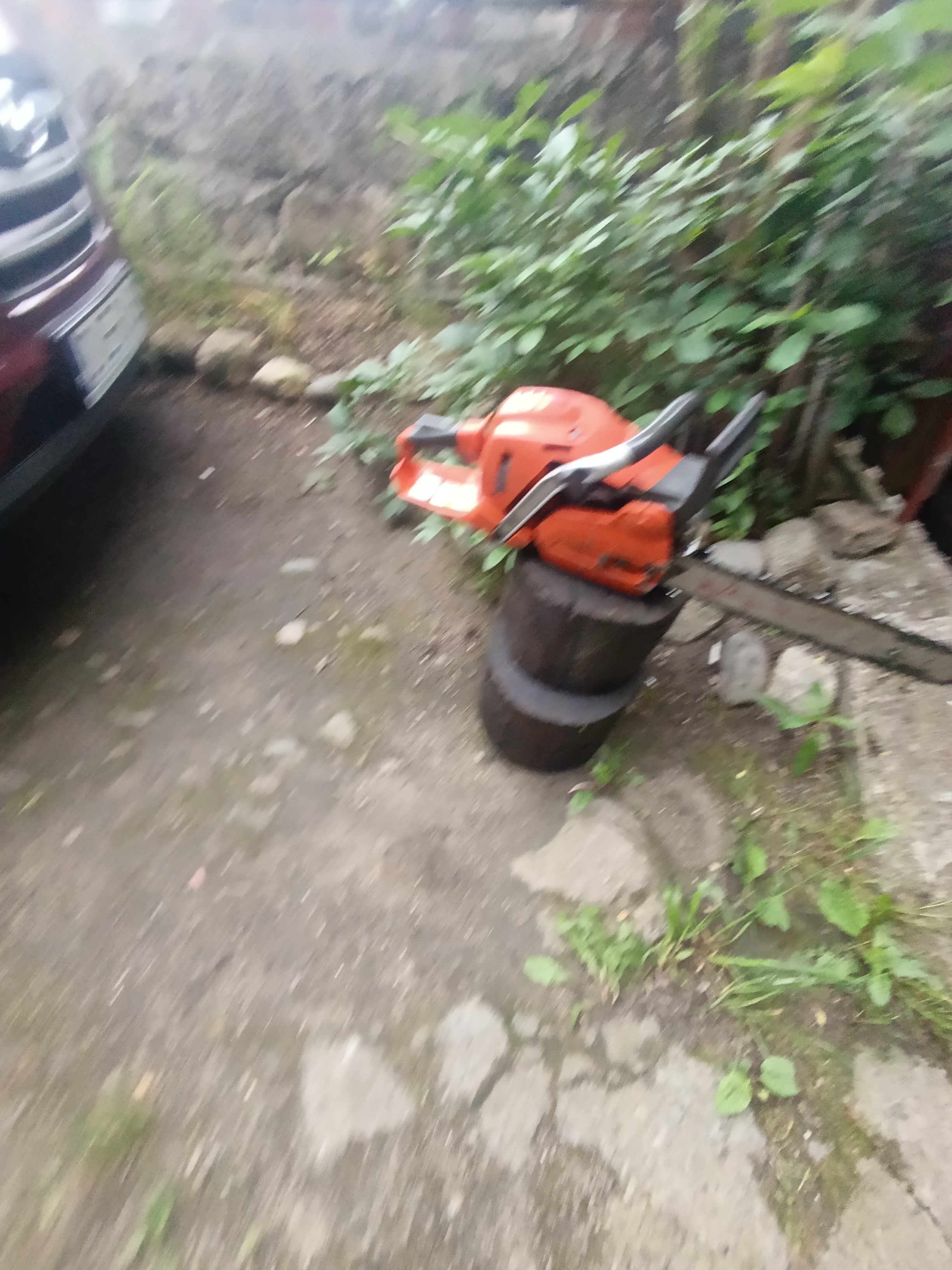 Pilarka spalinowa Husqvarna 555 rok 2019