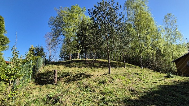 Janowice Wlk.  Mały dom mieszkalny do remontu, 3-p., pow. 65 m2, na działce 3055m2