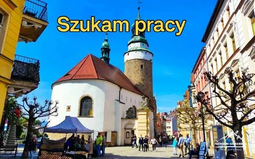 Szukam pracy