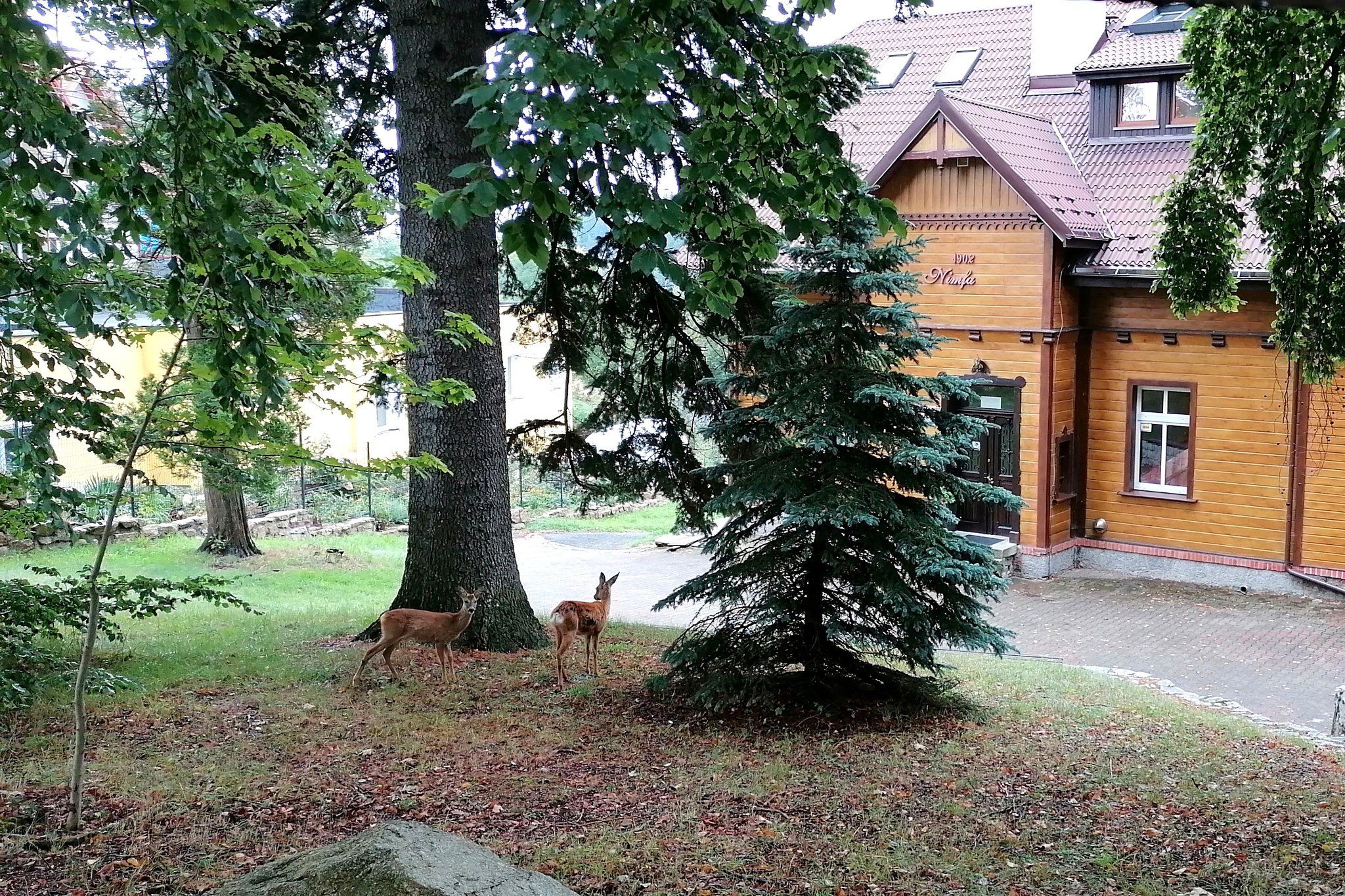 Willa w Szklarskiej Porębie