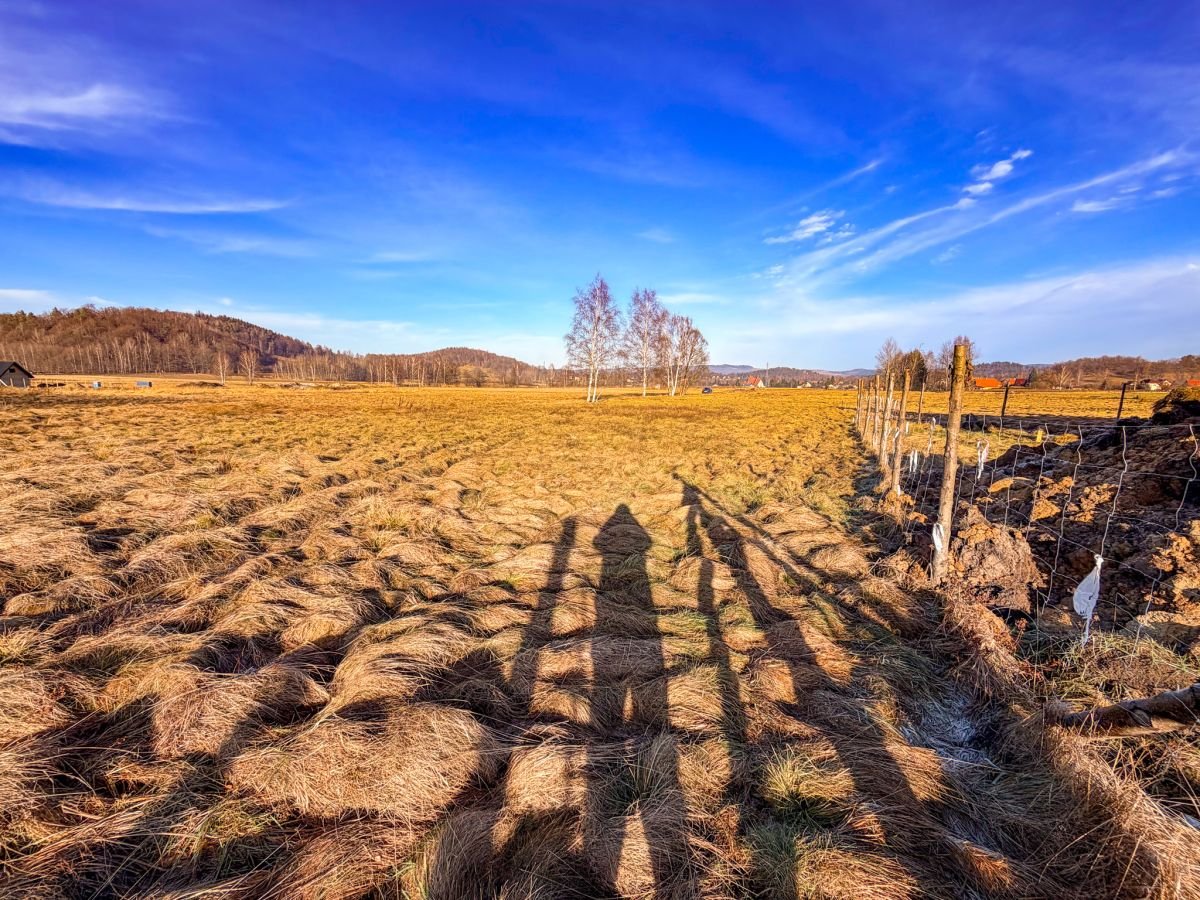 Działka budowlana 1018 m2 - Czarne, Jelenia Góra