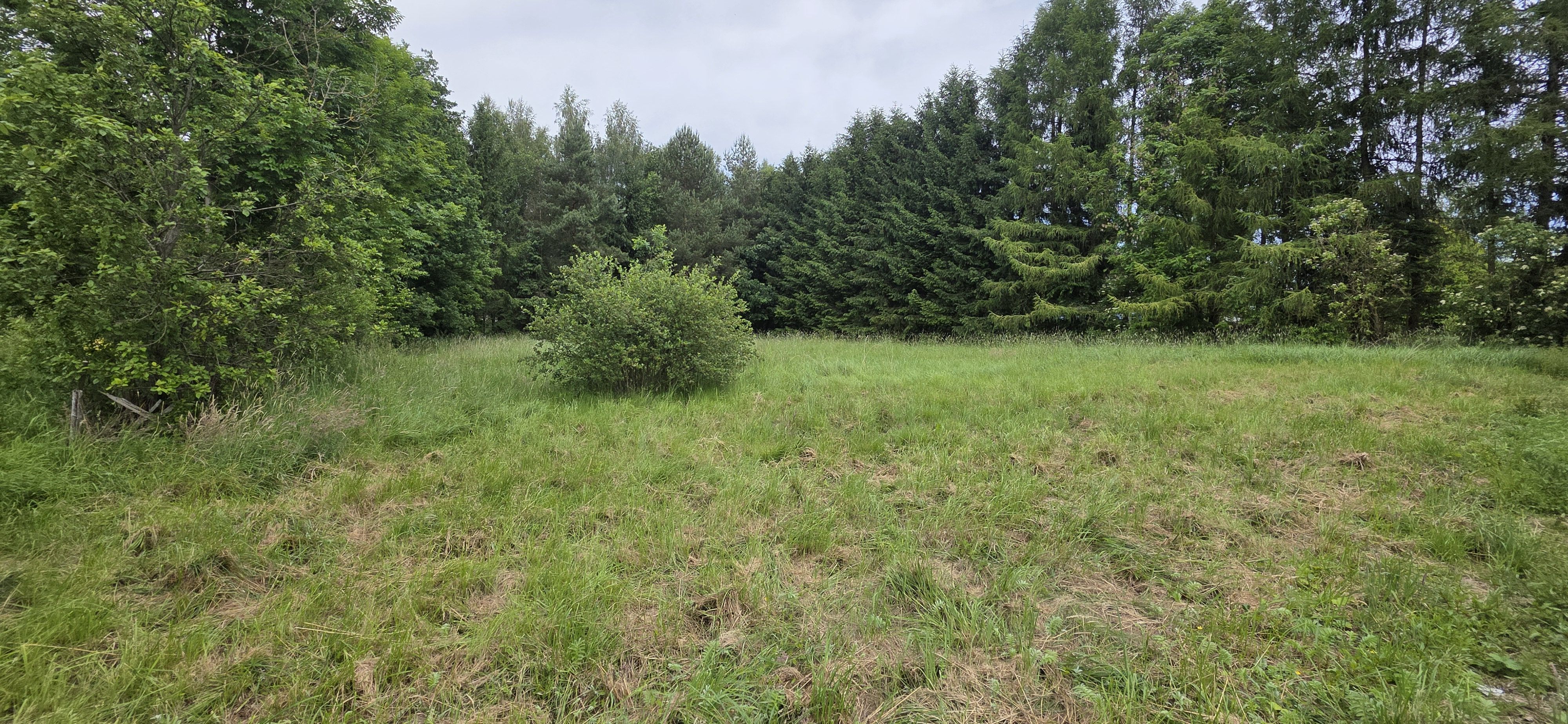 Działka 1974m2 w Komarnie
