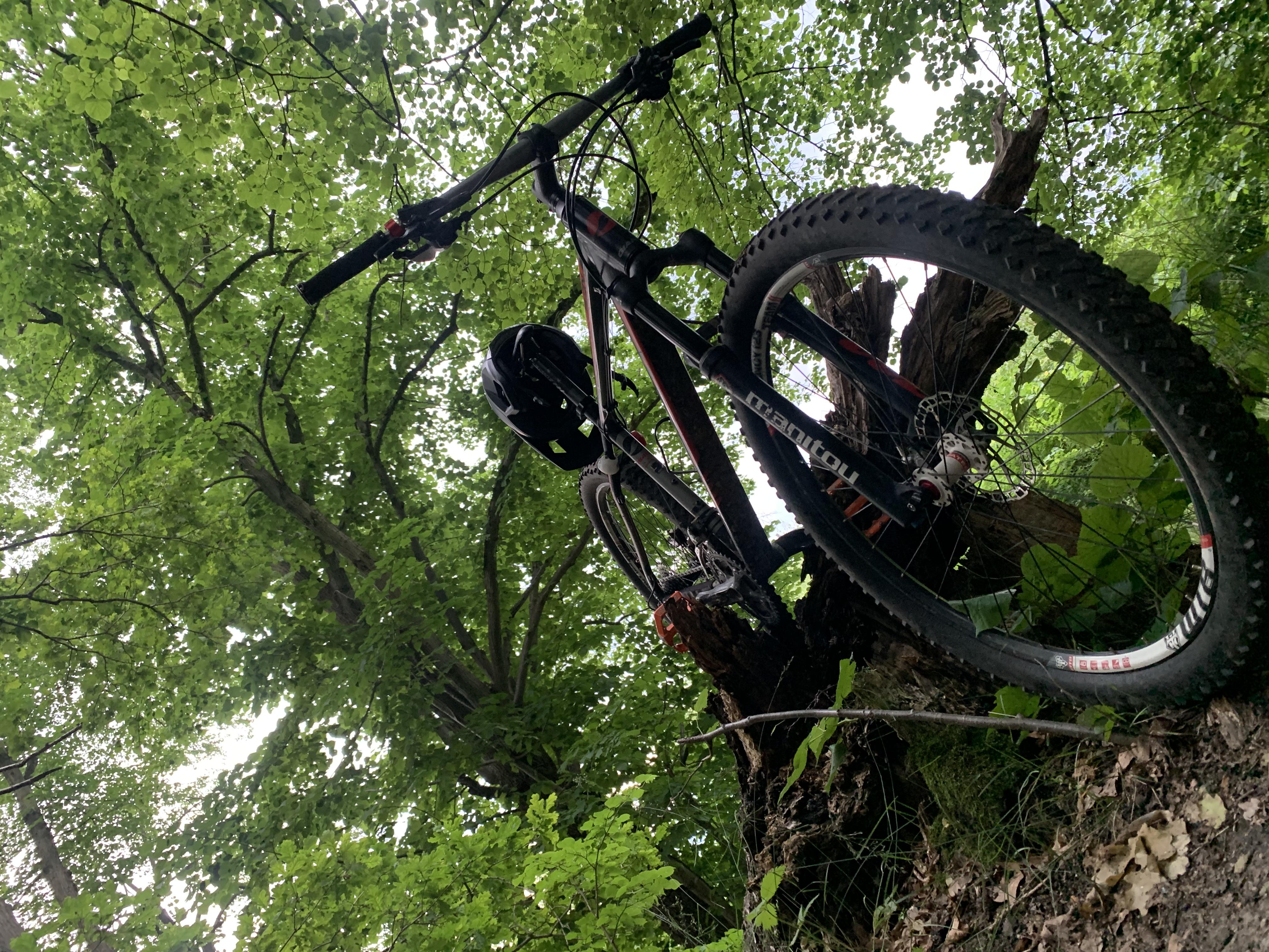 Serwis rowerowy- tubeless