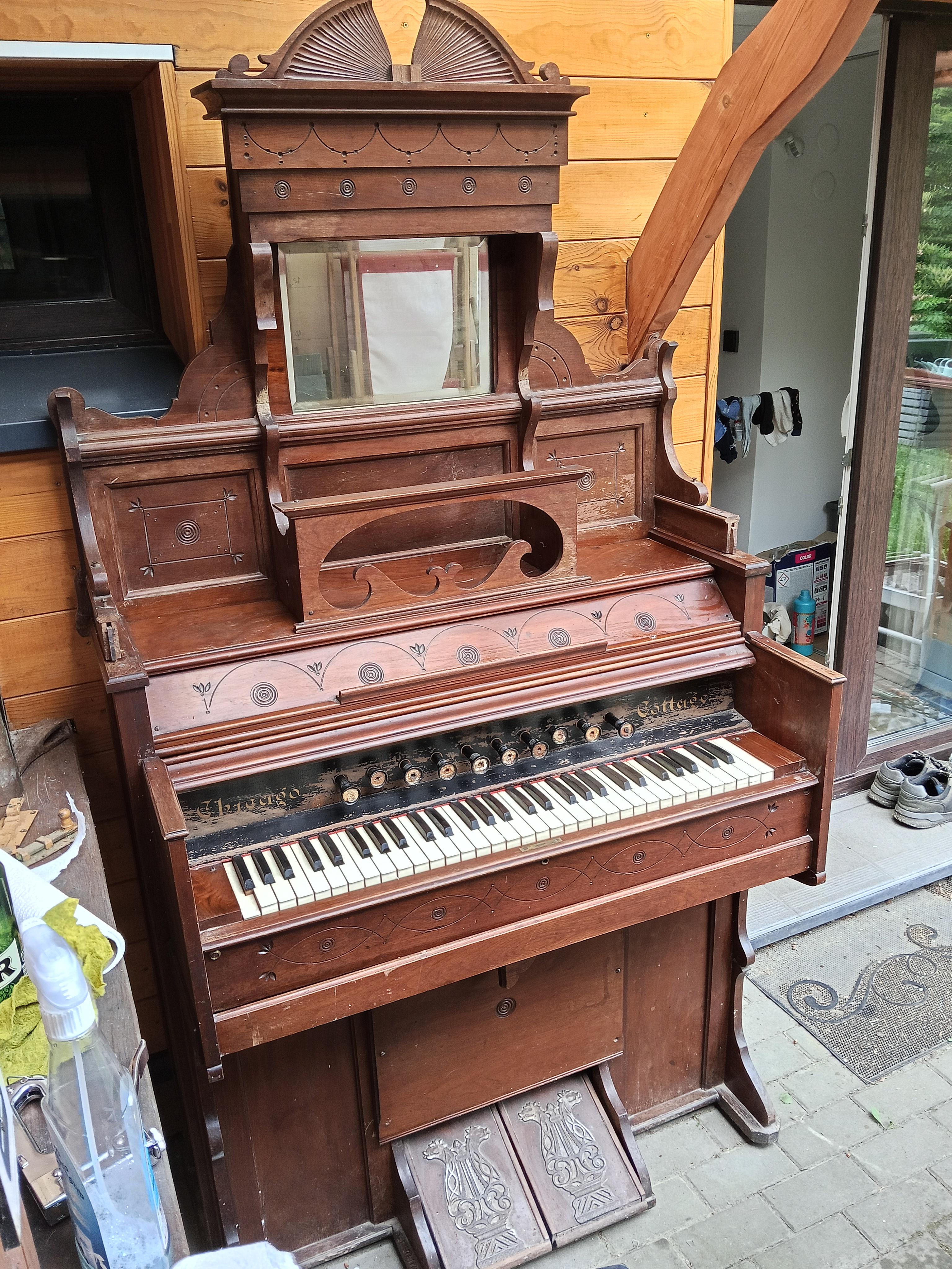 Piękny instrument
