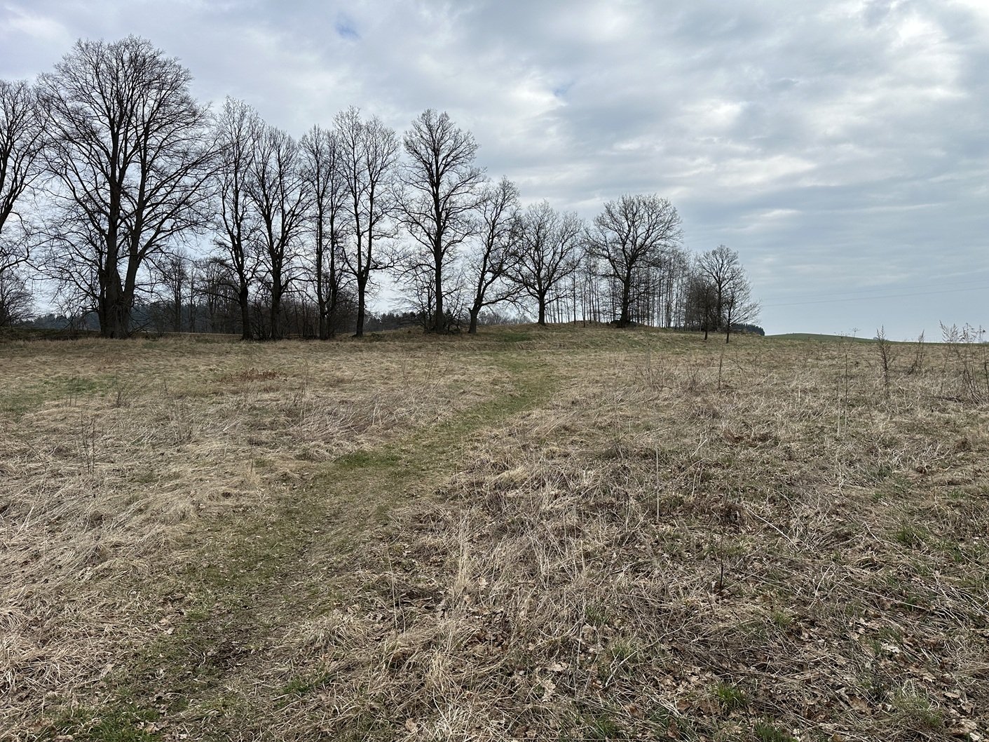 Stara Kamienica 3 Uzbrojone Działki Budowlane 100m2, 1047m2, 1530m2 w cenie 130zł/m2