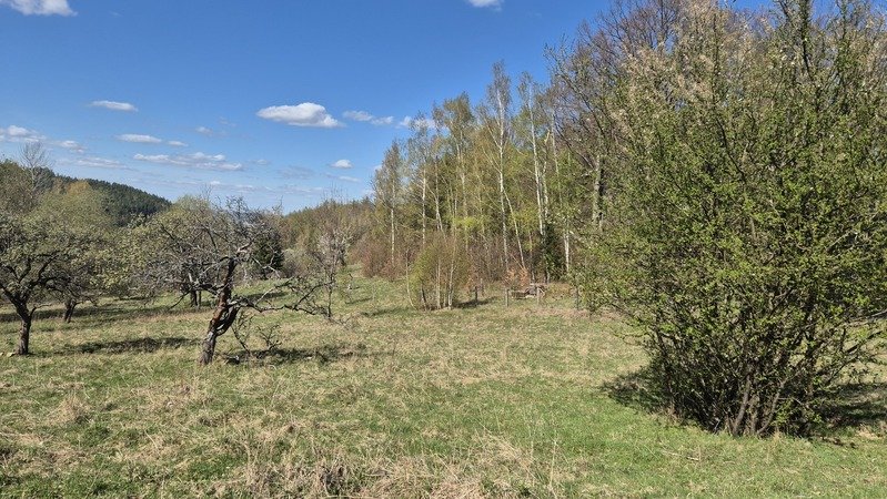 Przesieka . Unikalna , duża działka gruntu do sprzedazy, pow. 1,1 ha