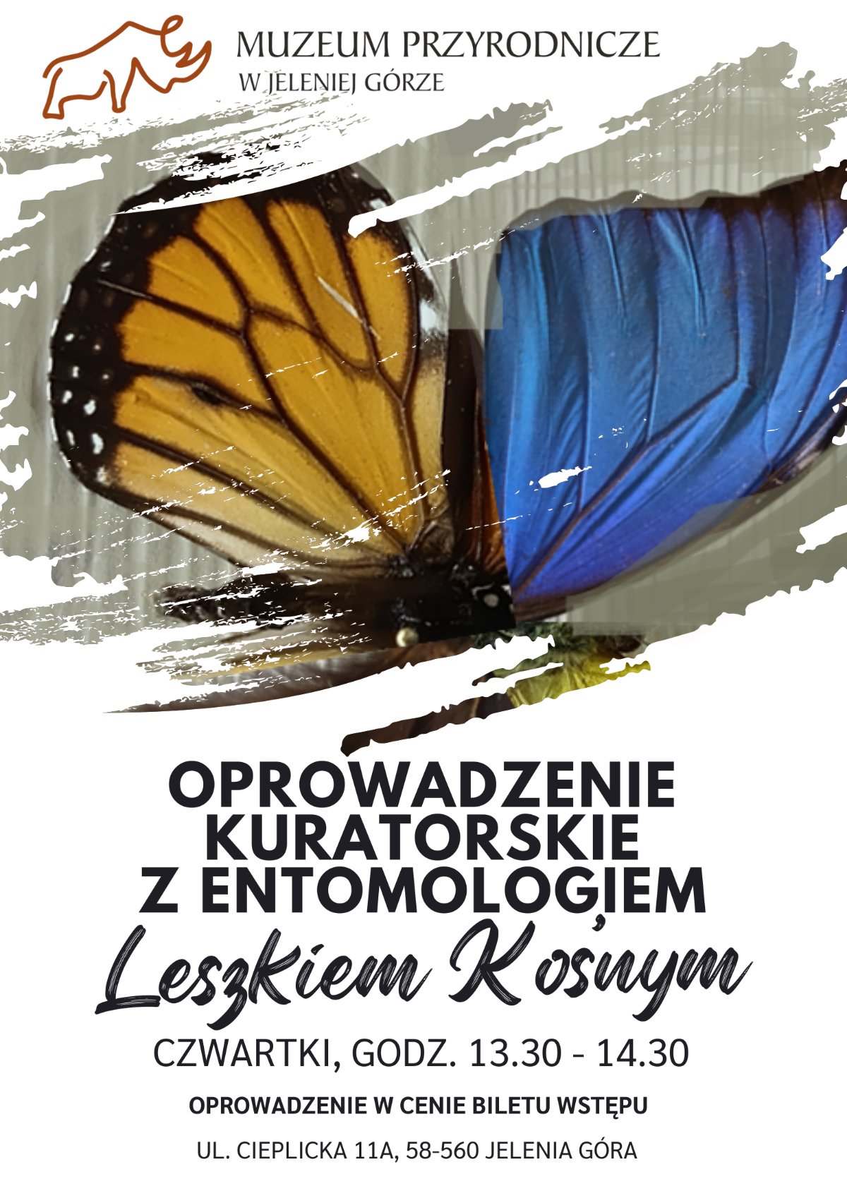 Wystawa entomologiczna z Leszkiem Kośnym