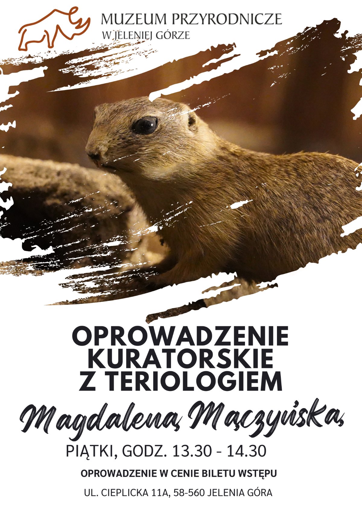 Oprowadzenia kuratorskie Ssaki Polski i Świata z Magdaleną Mączyńską