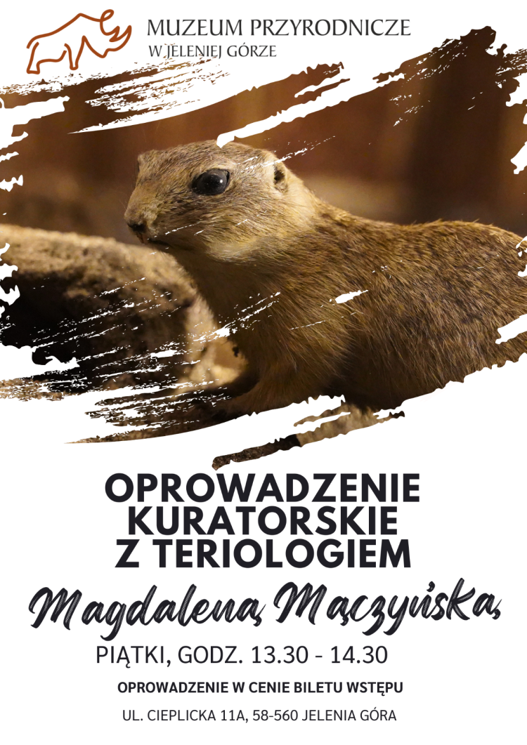 Oprowadzenia kuratorskie Ssaki Polski i Świata z Magdaleną Mączyńską