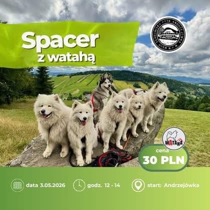Spacer z watahą