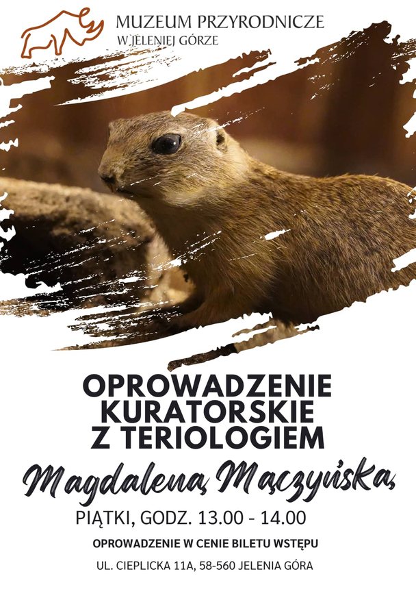 Co będzie się działo w mieście i regionie?