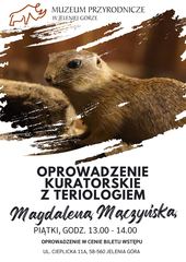 Co będzie się działo w mieście i regionie?