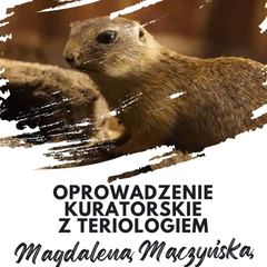 Co będzie się działo w mieście i regionie?