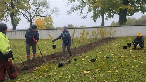 fot. Stowarzyszenie na Rzecz Rozwoju Wsi Radomierz