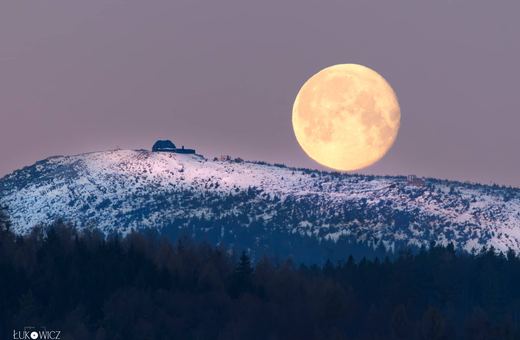 Pełnia księżyca w Karkonoszach – sowy lepiej widzą swoje ofiary