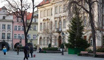 Mamy już choinkę na Placu Ratuszowym!