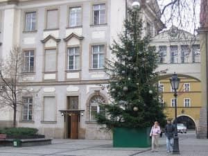 Choinka w Rynku już ubrana... :-)
