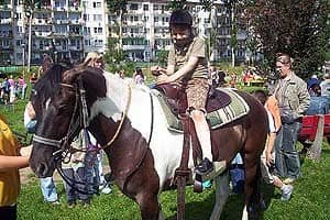 Zabobrzański Festyn Rodzinny