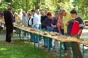 Wystawa świeżych grzybów