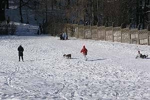 Zimowe harce na miejskich stokach