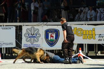 XII Majówka ze Zwierzakami
